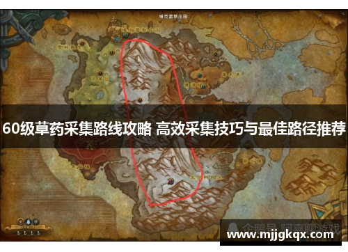 60级草药采集路线攻略 高效采集技巧与最佳路径推荐